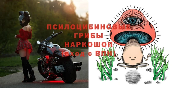 прущая мука Алзамай