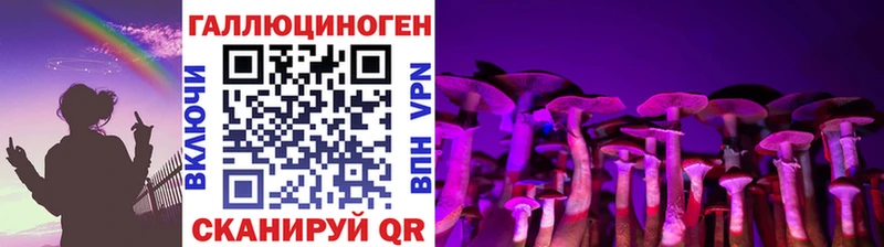 МЕГА как войти  Каргат  Псилоцибиновые грибы GOLDEN TEACHER 